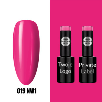 019 NW1 LAKIER HYBRYDOWY NO NAME HEMA/Di-HEMA Free 5G