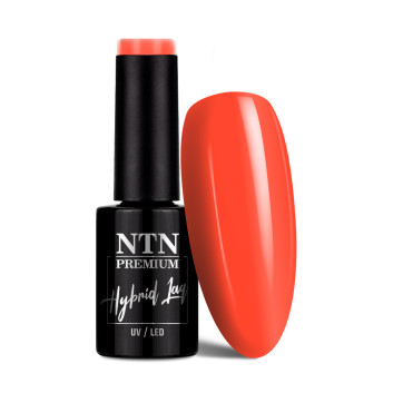 Lakier hybrydowy NTN Premium Limited Edition 5g Nr 430