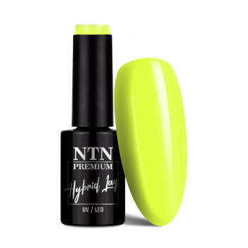 Lakier hybrydowy NTN Premium Limited Edition 5g Nr 431