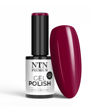 Lakier hybrydowy NTN Premium Passion for Love Collection HEMA/Di-HEMA Free 5g Nr 204