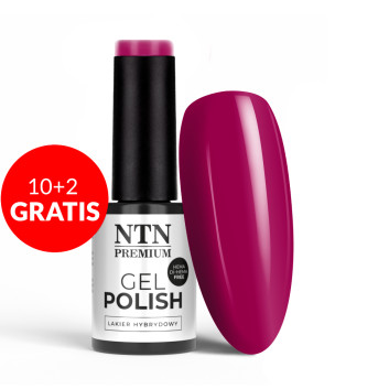 10+2gratis Lakier hybrydowy NTN Premium Drama Queen HEMA/Di-HEMA Free 5g Nr 214