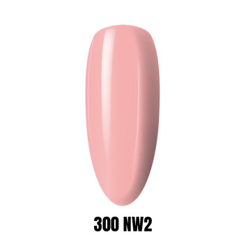 300 NW2 LAKIER HYBRYDOWY 1KG