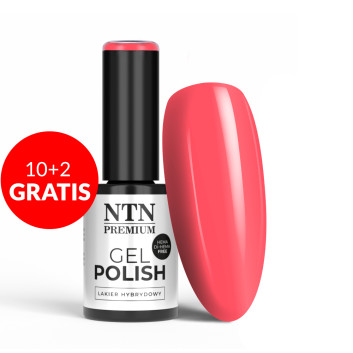 10+2gratis Lakier hybrydowy Ntn Premium Design Your Style Collection HEMA/Di-HEMA Free 5 g Nr 38