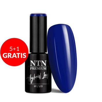 5+1gratis Lakier hybrydowy NTN Premium Splash Collection 5g Nr 125