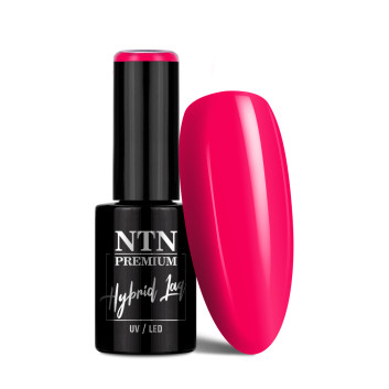 Lakier hybrydowy NTN Premium Limited Edition 5g Nr 428