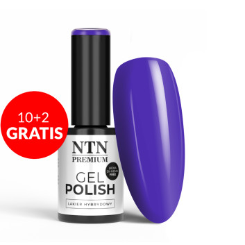 10+2gratis Lakier hybrydowy NTN Premium Fiesta Collection HEMA/Di-HEMA Free 5g Nr 75