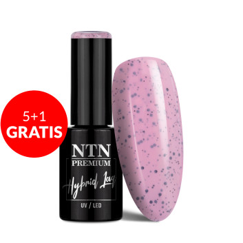 5+1gratis Lakier hybrydowy NTN Premium Sugar Sweets Collection 5g nr 194