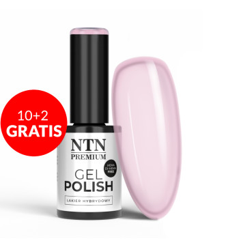 10+2gratis Lakier hybrydowy NTN Premium Ambrosia Collection HEMA/Di-HEMA Free 5g Nr 160