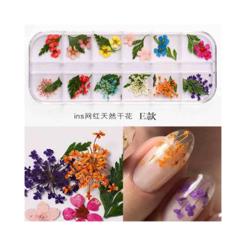 Suszone kwiaty do zdobień paznokci w kasetce Molly Nails rodzaj E 36szt