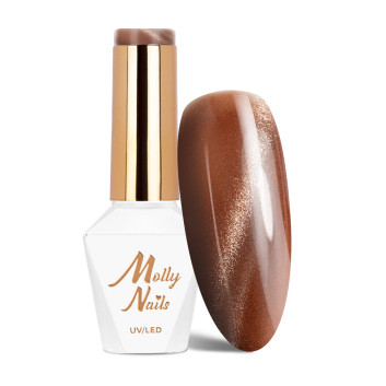 Lakier LED/UV Gel Polish Browns Cat Eye Metallic Nr 216 Molly Nails HEMA/Di-HEMA Free 8g