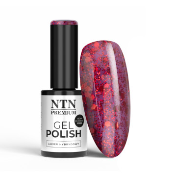 Lakier hybrydowy NTN Premium Passion for Love Collection HEMA/Di-HEMA Free 5g Nr 206