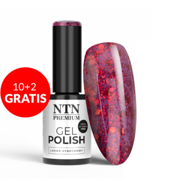 10+2gratis Lakier hybrydowy NTN Premium Passion for Love Collection HEMA/Di-HEMA Free 5g Nr 206