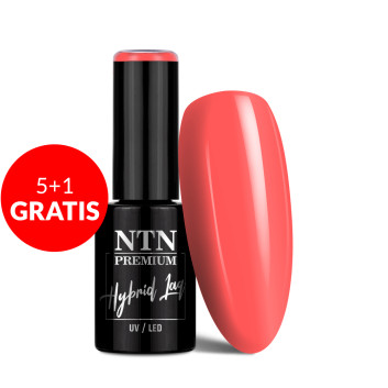 5+1gratis Lakier hybrydowy NTN Premium Celebration Collection 5g Nr 164
