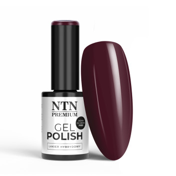 Lakier hybrydowy NTN Premium Show Collection HEMA/Di-HEMA Free 5 g Nr 113