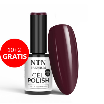10+2gratis Lakier hybrydowy NTN Premium Show Collection HEMA/Di-HEMA Free 5 g Nr 113