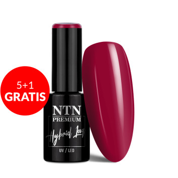 5+1gratis Lakier hybrydowy NTN Premium Passion for Love Collection 5g Nr 204