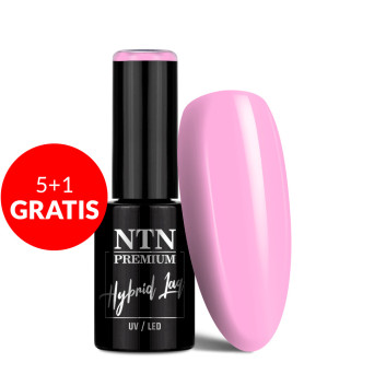 5+1gratis Lakier hybrydowy NTN Premium Birthday Party Collection 5G NR 49