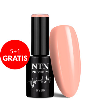 5+1gratis Lakier hybrydowy LED/UV Gel Polish Nudes Nr 455 Limited Edition NTN Premium 5g