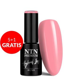 5+1gratis Lakier hybrydowy LED/UV Gel Polish Pinks Nr 443 Limited Edition NTN Premium 5g