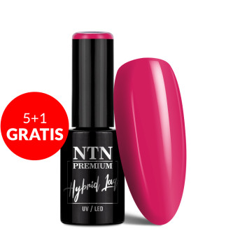 5+1gratis Lakier hybrydowy LED/UV Gel Polish Reds Nr 449 Limited Edition NTN Premium 5g