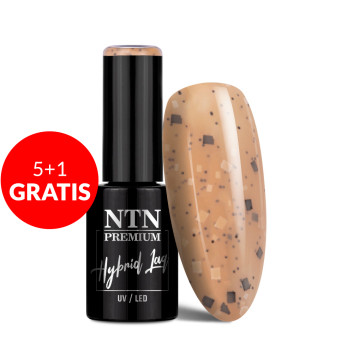 5+1gratis Lakier hybrydowy LED/UV Gel Polish Nudes Nr 459 Limited Edition NTN Premium 5g