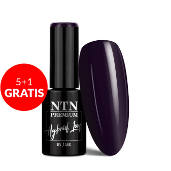5+1gratis Lakier hybrydowy LED/UV Gel Polish Blacks Nr 469 Limited Edition NTN Premium 5g