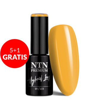 5+1gratis Lakier hybrydowy LED/UV Gel Polish Yellows Nr 485 Limited Edition NTN Premium 5g