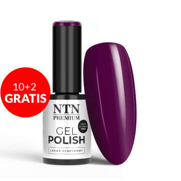 10+2gratis Lakier hybrydowy LED/UV Gel Polish Purples Nr 494 Limited Edition NTN Premium HEMA/Di-HEMA Free 5g
