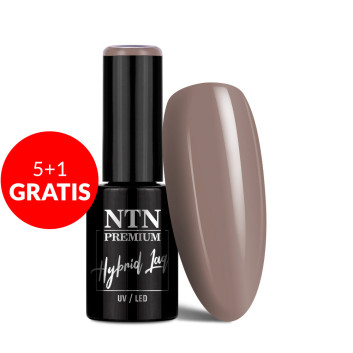 5+1gratis Lakier hybrydowy LED/UV Gel Polish Browns Nr 526 Limited Edition NTN Premium 5g