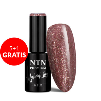 5+1gratis Lakier hybrydowy LED/UV Gel Polish Browns Nr 529 Limited Edition NTN Premium 5g