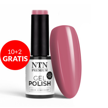 10+2gratis Lakier hybrydowy NTN Premium Topless Collection HEMA/Di-HEMA Free 5g Nr 15