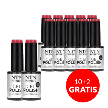 10+2gratis Lakier hybrydowy Ntn Premium Viral colors HEMA/Di-HEMA Free 5g Nr 295