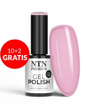 10+2gratis Lakier hybrydowy NTN Premium Delicate French HEMA/Di-HEMA Free 5g Nr 298