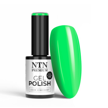 Lakier hybrydowy NTN Premium Limited Edition HEMA/Di-HEMA Free 5g Nr 432