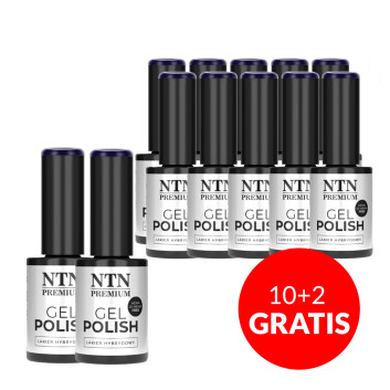 10+2gratis Lakier hybrydowy Ntn Premium Oriental Delice HEMA/Di-HEMA Free 5g Nr 266