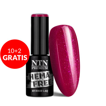 10+2gratis Lakier hybrydowy Ntn Premium Passion for Love Collection HEMA/Di-HEMA Free 5g Nr 203