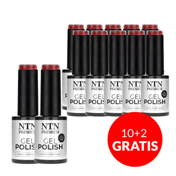 10+2gratis Lakier hybrydowy NTN Premium Fiesta Collection HEMA/DI-HEMA Free 5g Nr 79