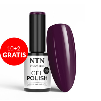 10+2gratis Lakier hybrydowy NTN Premium Splash Collection HEMA/Di-HEMA Free 5 g Nr 118