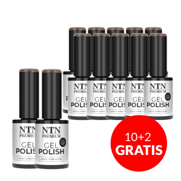 10+2gratis Lakier hybrydowy NTN Premium Celebration Collection HEMA/Di-HEMA Free 5g Nr 166