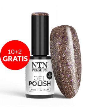10+2gratis Lakier hybrydowy NTN Premium Celebration Collection HEMA/Di-HEMA Free 5g Nr 166