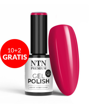 10+2gratis Lakier hybrydowy NTN Premium Oriental Delice HEMA/Di-HEMA Free 5g Nr 271