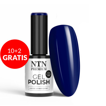 10+2gratis Lakier hybrydowy NTN Premium Limited Edition HEMA/Di-HEMA Free 5g Nr 353