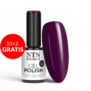 10+2gratis Lakier hybrydowy NTN Premium Seductive Collection HEMA/Di-HEMA Free 5g Nr 132