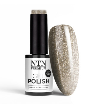 Lakier hybrydowy Ntn Premium Celebration Collection HEMA/Di-HEMA Free 5g Nr 169