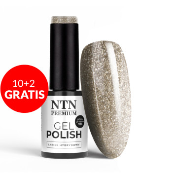 10+2gratis Lakier hybrydowy NTN Premium Celebration Collection HEMA/Di-HEMA Free 5g Nr 169