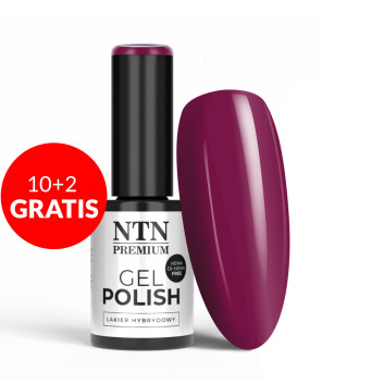 10+2gratis Lakier hybrydowy NTN Premium Neomagic HEMA/Di-HEMA Free 5g Nr 276