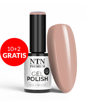 10 + 2 gratis: NTN Premium Splash Collection HEMA/Di-HEMA-freier Hybridlack, 5 g, Nr. 120