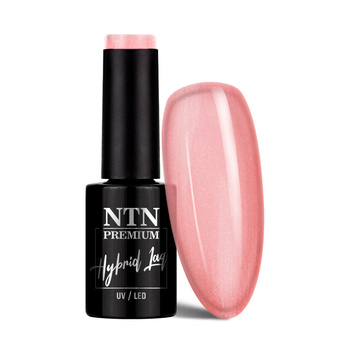 NTN Premium Impression Hybridlack 5 g Nr. 258