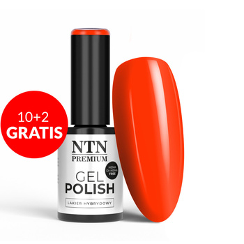 10 + 2 gratis: NTN Premium California Collection Neon HEMA/Di-HEMA-freier Hybridlack, 5 g, Nr. 142
