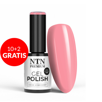 10 + 2 gratis LED/UV-Gel-Nagellack NTN Premium California Collection Nr. 141, HEMA/Di-HEMA-frei, 5 g